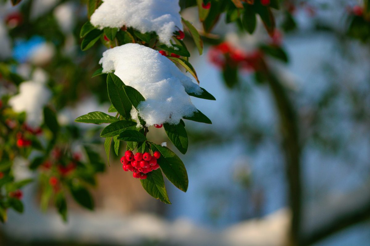 2024-01-19 14.12.00 (3)