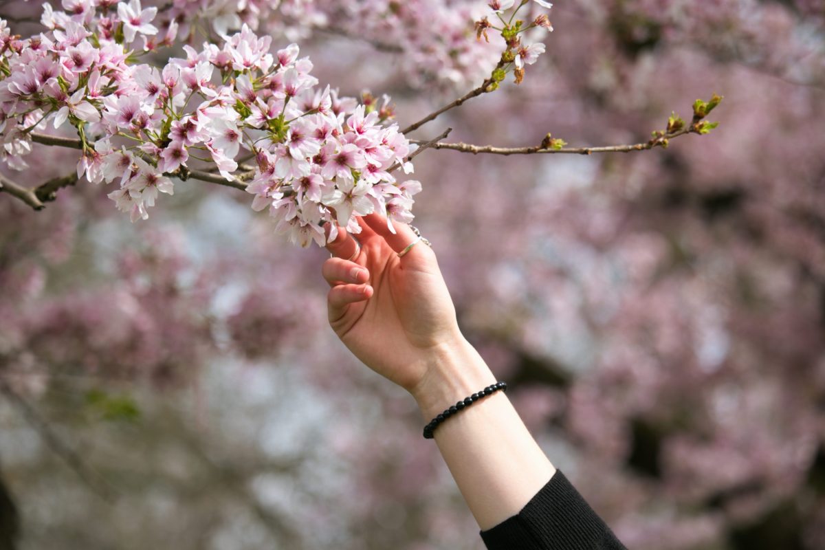 2024-03-21 14.45.55 (1)