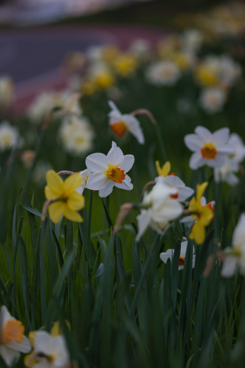 2024-03-21 15.28.55 (1)